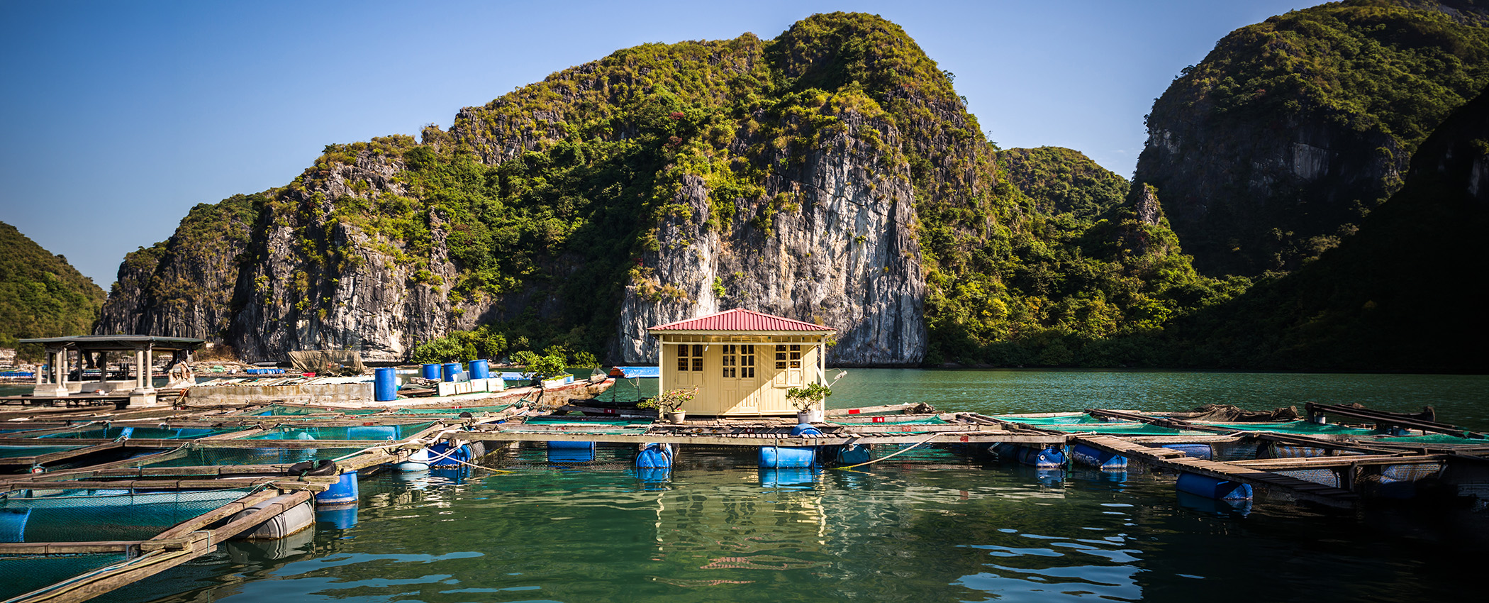Halong Bay vietnam