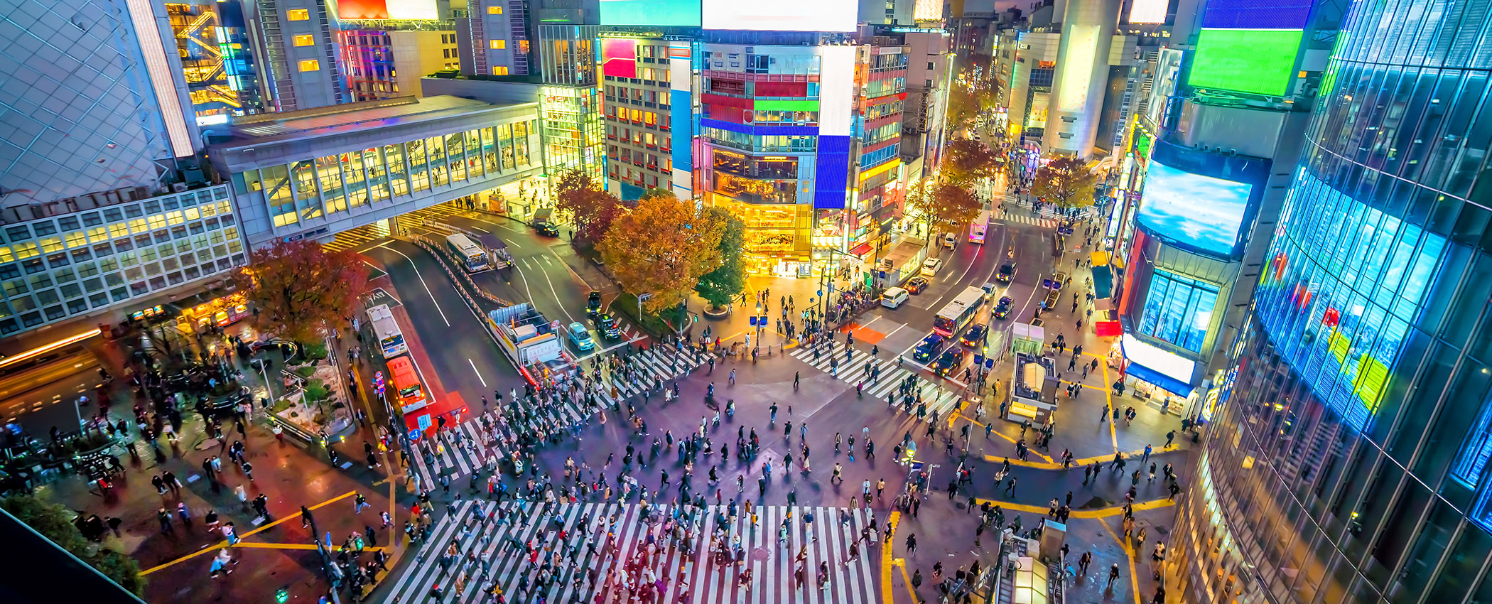 vibrant Shibuya Crossing
